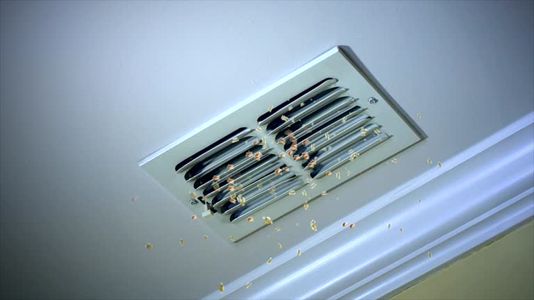 Best Affordable HVAC Duct Cleaning  in Chandler, IN