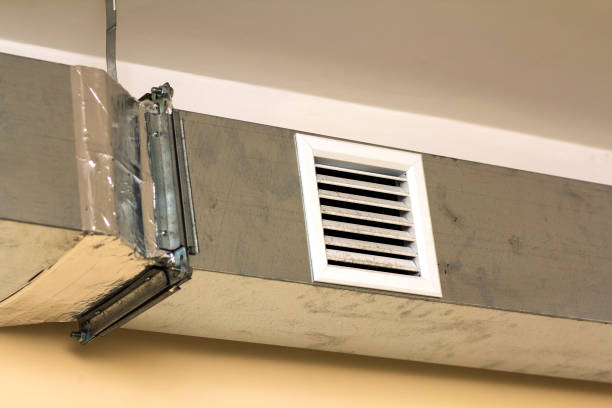 Best Ductwork Cleaning Services  in Chandler, IN